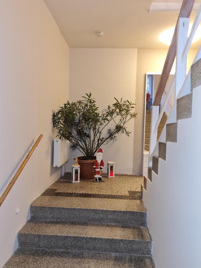 Haus Fernblick Apartment Kurort Baerenburg Bagian luar foto