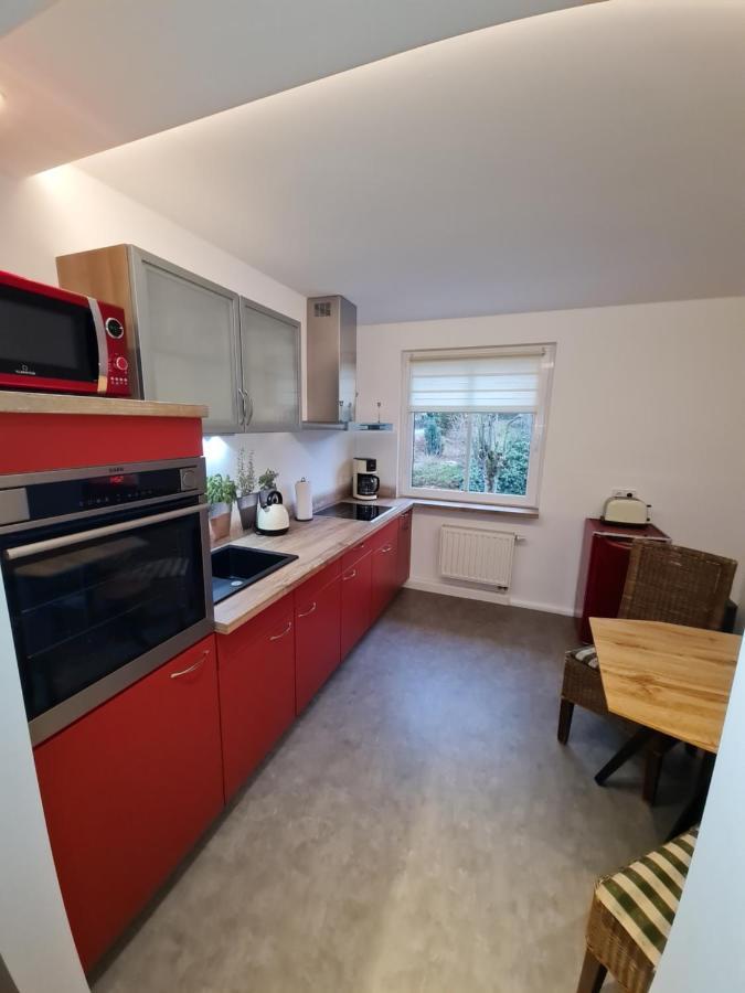 Haus Fernblick Apartment Kurort Baerenburg Bagian luar foto